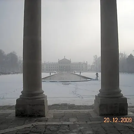 Reale